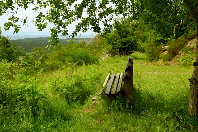 长达二十余 长达二十余