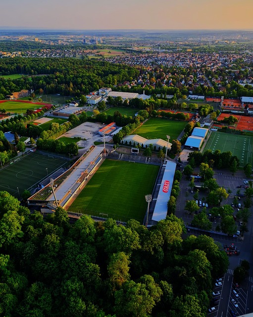 手是凭技术 手是凭技术